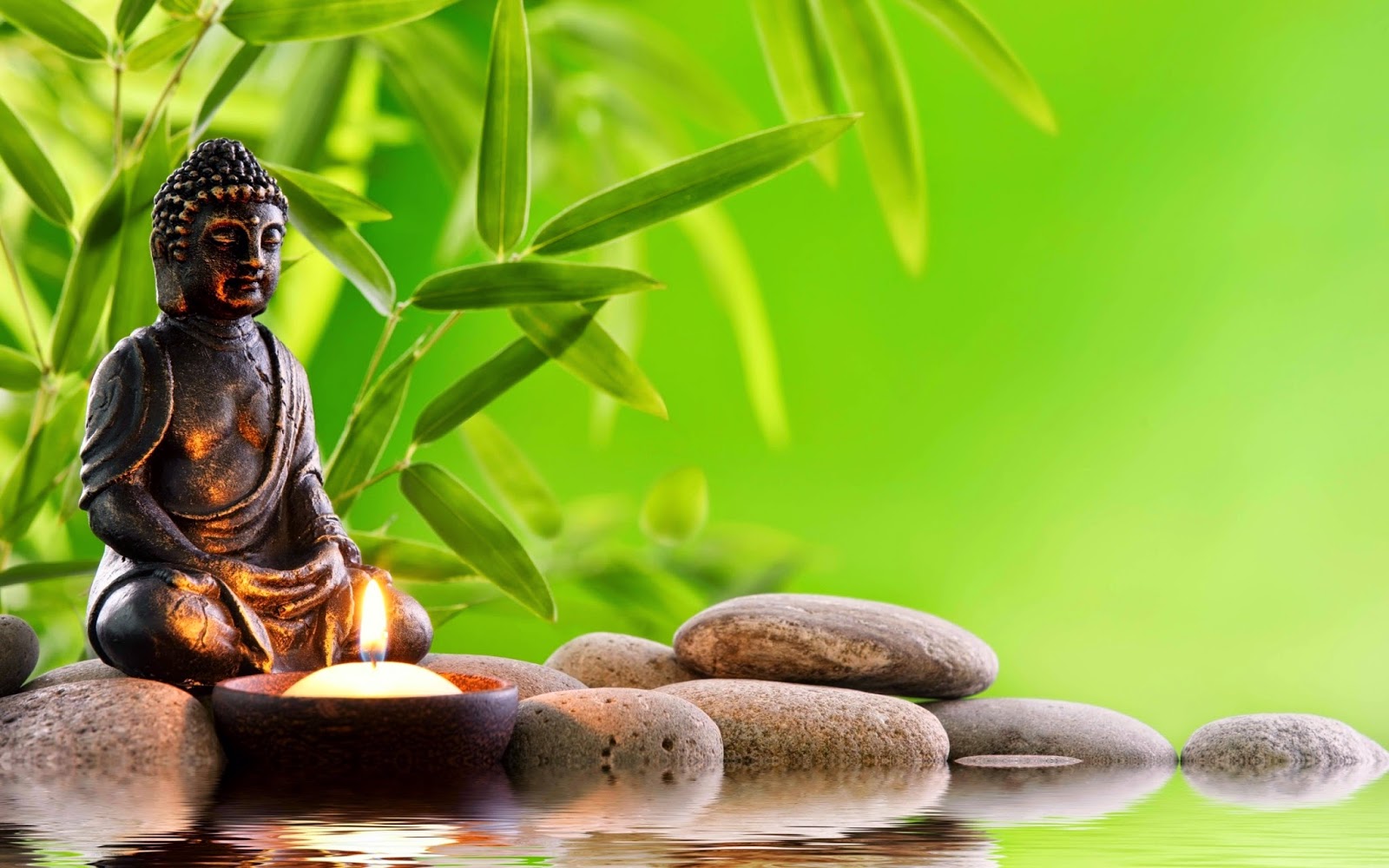 Buddhist Ayurvedic Approach 